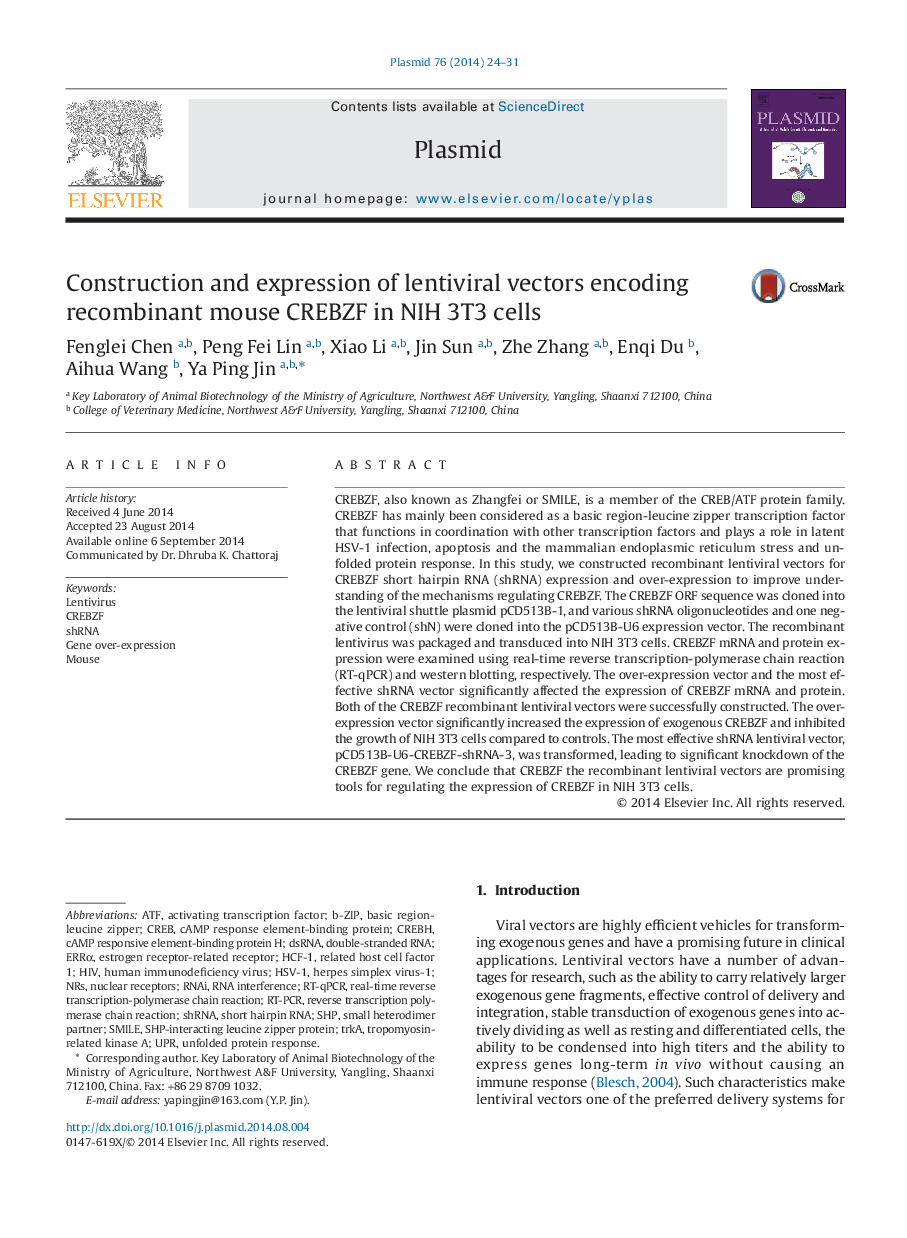 Construction and expression of lentiviral vectors encoding recombinant mouse CREBZF in NIH 3T3 cells