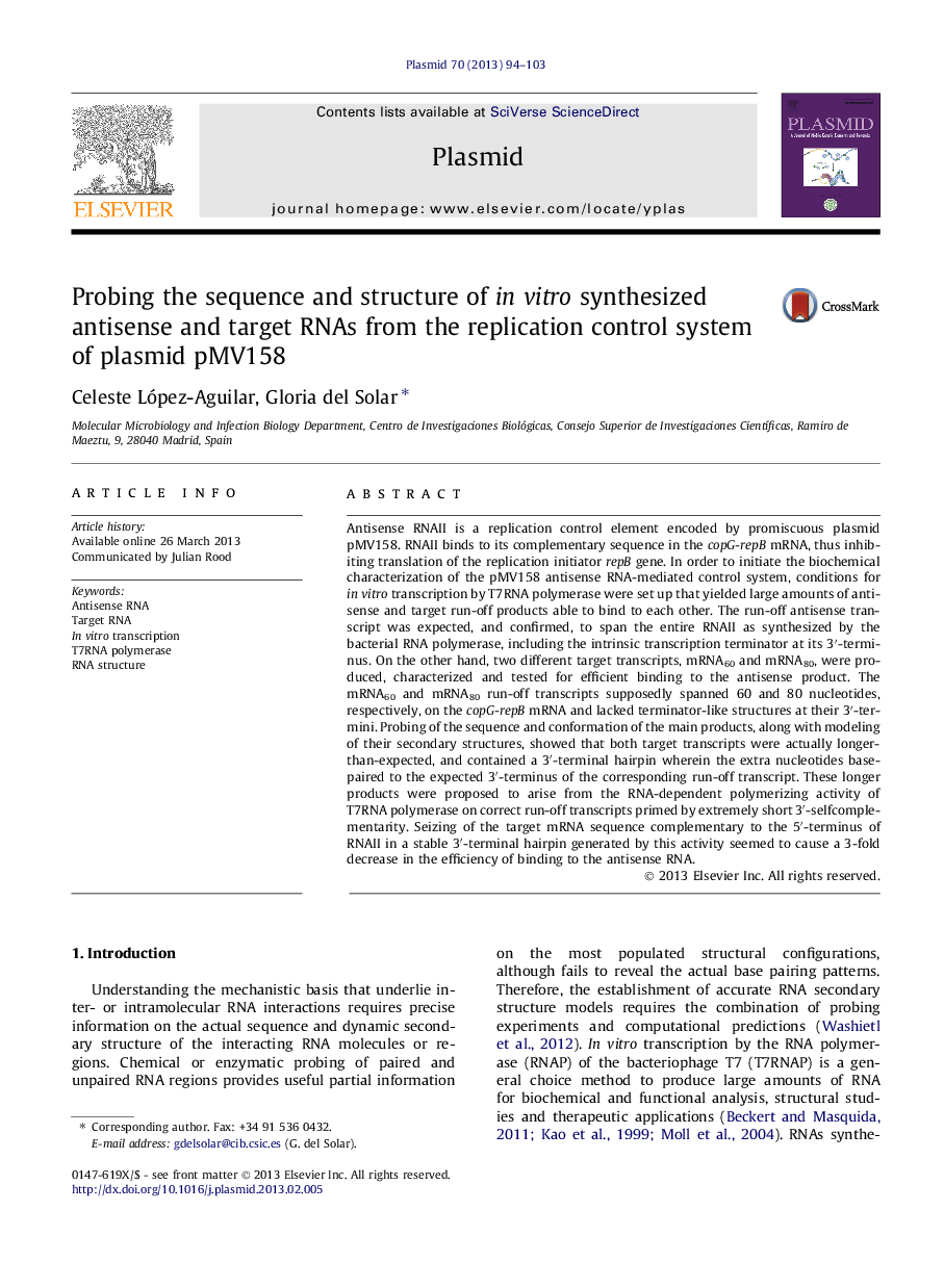 Probing the sequence and structure of in vitro synthesized antisense and target RNAs from the replication control system of plasmid pMV158