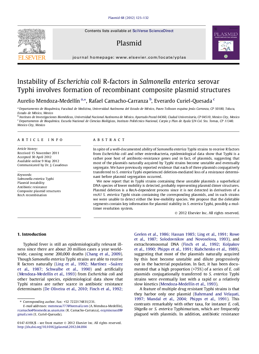 Instability of Escherichia coli R-factors in Salmonella enterica serovar Typhi involves formation of recombinant composite plasmid structures