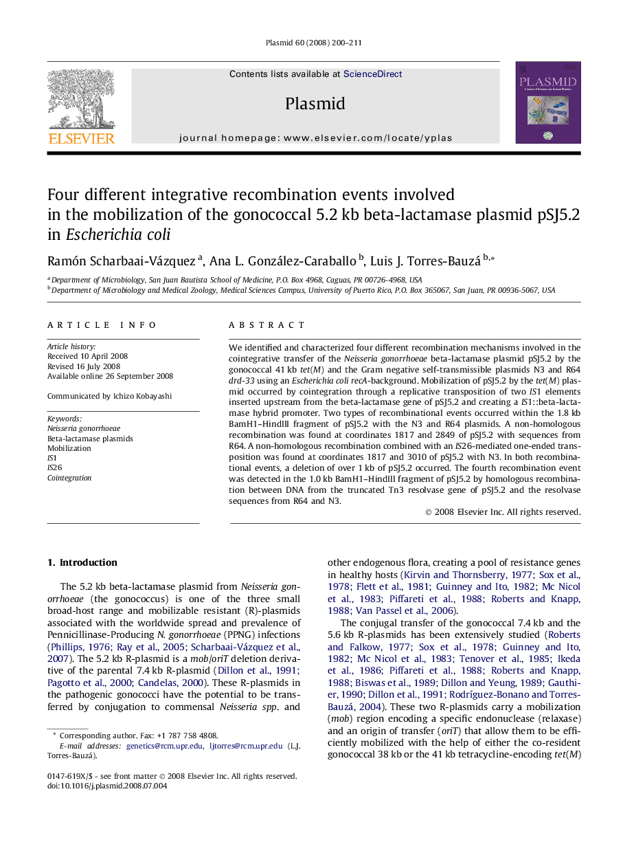 Four different integrative recombination events involved in the mobilization of the gonococcal 5.2 kb beta-lactamase plasmid pSJ5.2 in Escherichia coli