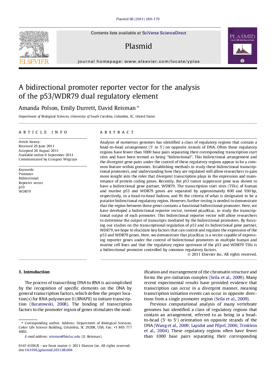 A bidirectional promoter reporter vector for the analysis of the p53/WDR79 dual regulatory element