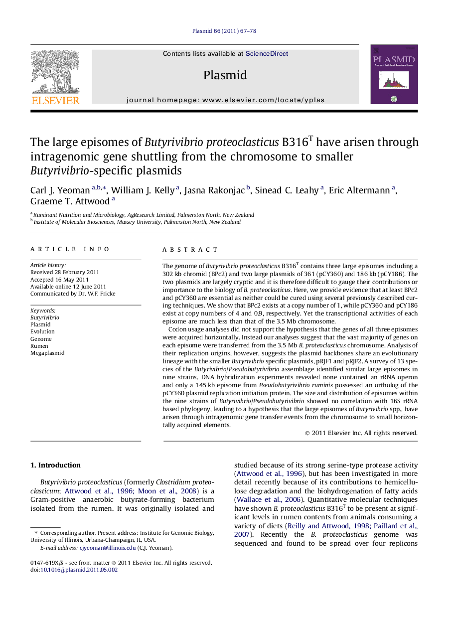 The large episomes of Butyrivibrio proteoclasticus B316T have arisen through intragenomic gene shuttling from the chromosome to smaller Butyrivibrio-specific plasmids