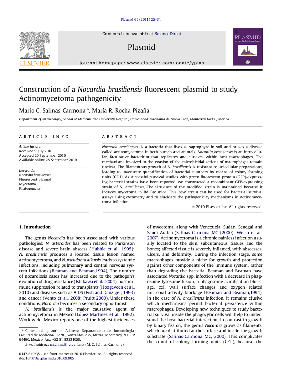 Construction of a Nocardia brasiliensis fluorescent plasmid to study Actinomycetoma pathogenicity