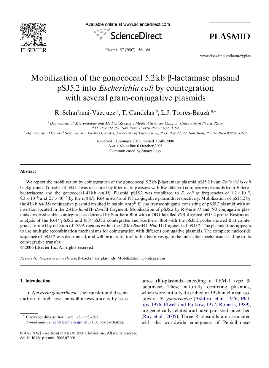 Mobilization of the gonococcal 5.2 kb β-lactamase plasmid pSJ5.2 into Escherichia coli by cointegration with several gram-conjugative plasmids