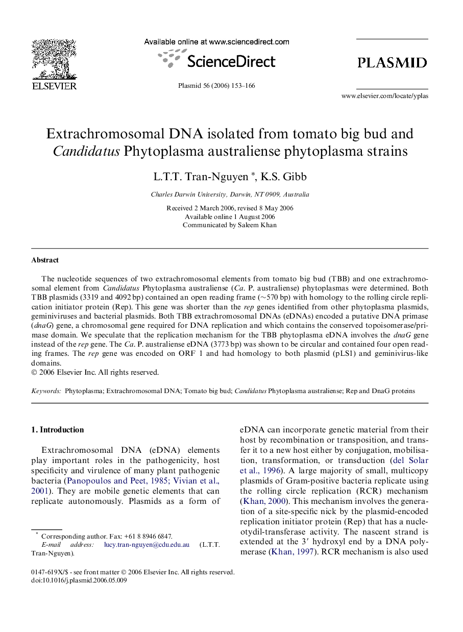 Extrachromosomal DNA isolated from tomato big bud and Candidatus Phytoplasma australiense phytoplasma strains