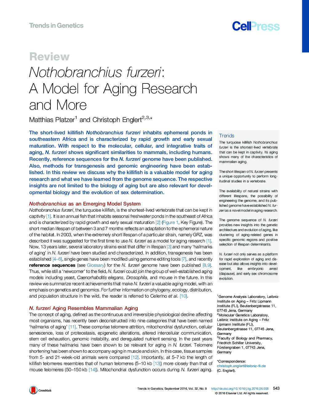 Nothobranchius furzeri: A Model for Aging Research and More