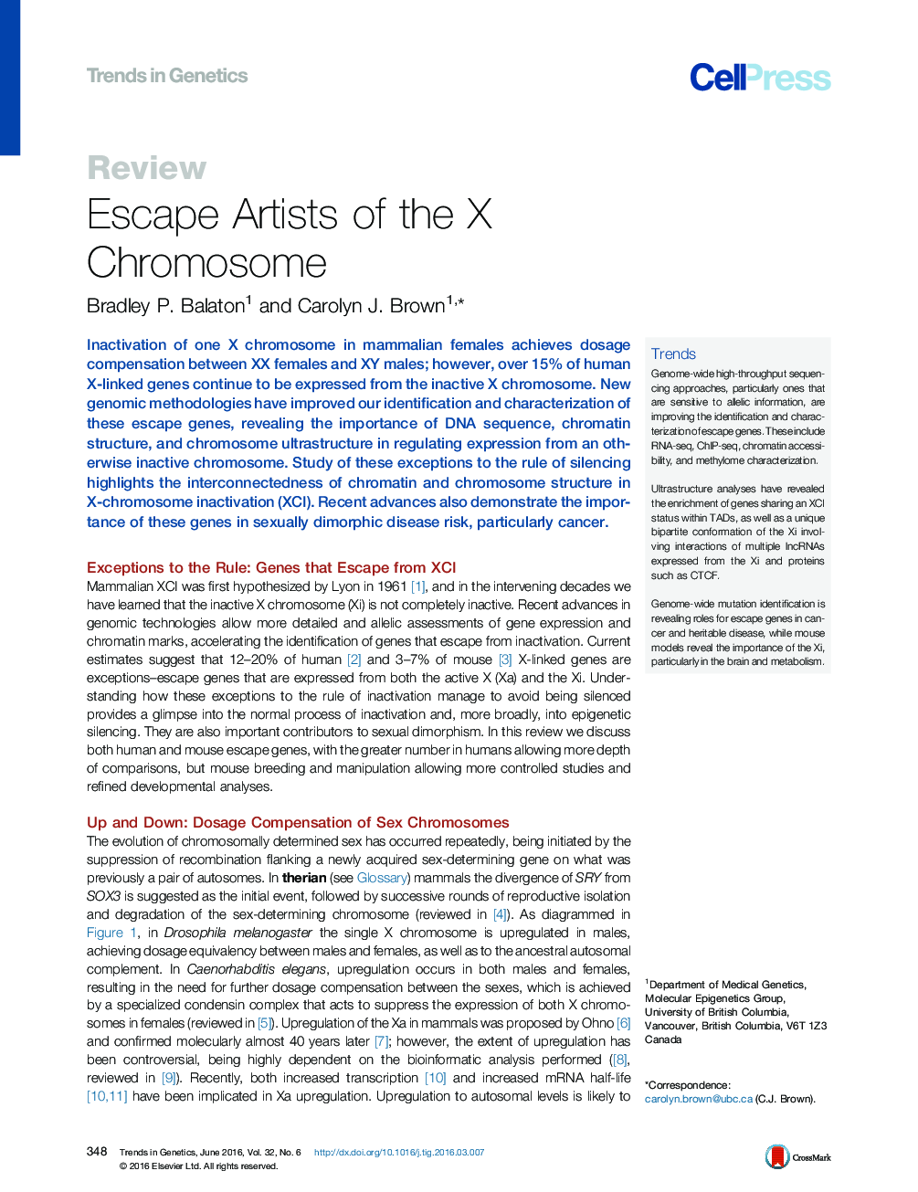 Escape Artists of the X Chromosome