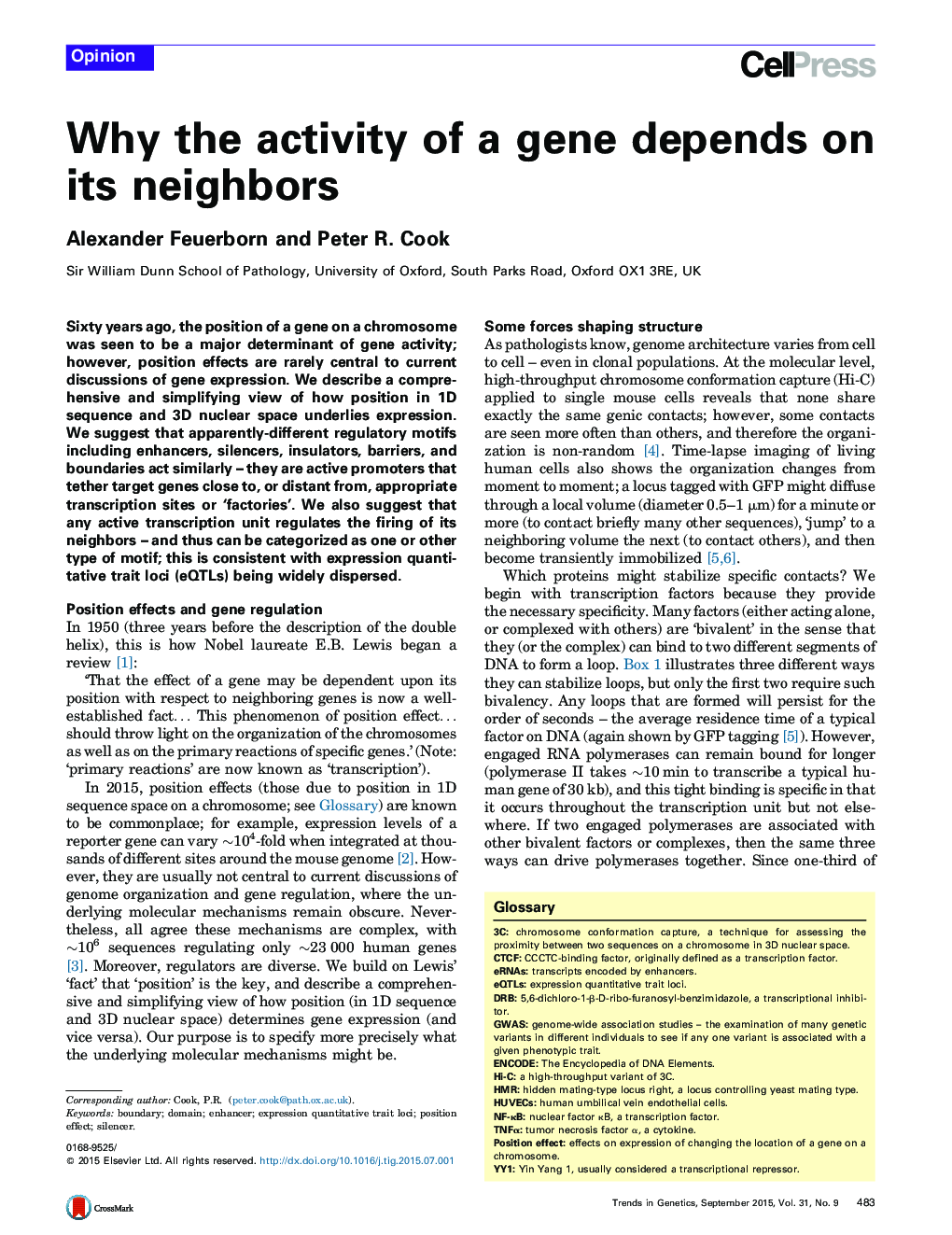 چرا فعالیت ژن بستگی به همسایگانش دارد 