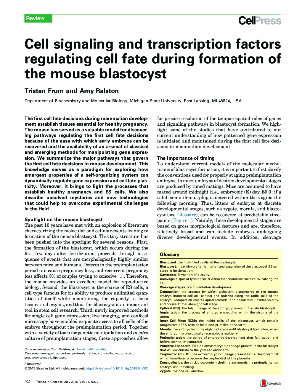 Cell signaling and transcription factors regulating cell fate during formation of the mouse blastocyst