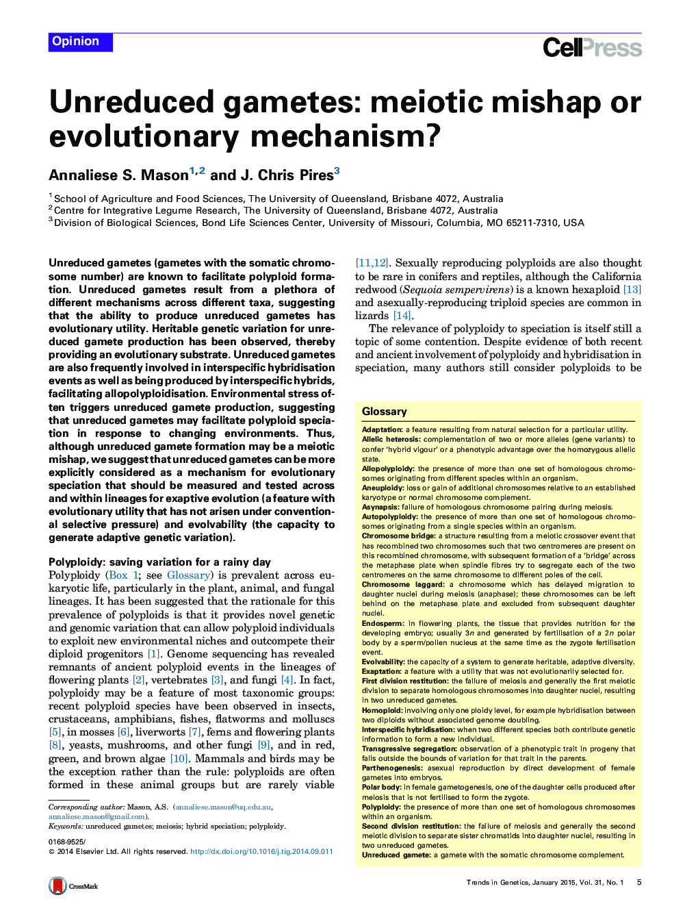 Unreduced gametes: meiotic mishap or evolutionary mechanism?