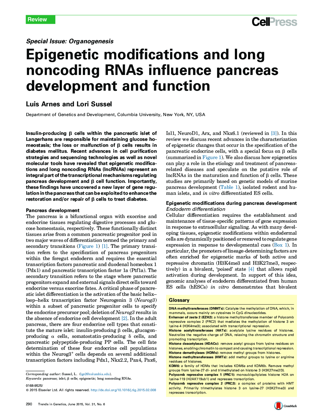 Epigenetic modifications and long noncoding RNAs influence pancreas development and function