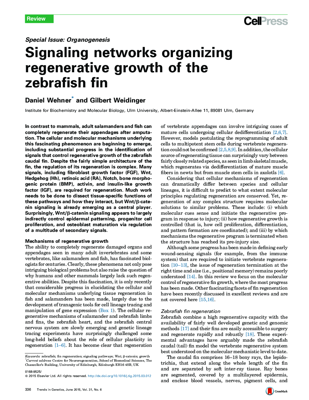 شبکه های سیگنالینگ، سازماندهی رشد بازآفرینی فین پرنده را دارند 
