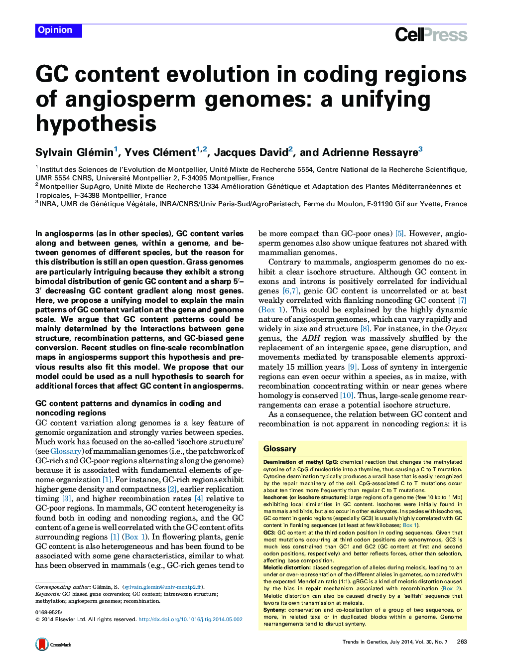 GC content evolution in coding regions of angiosperm genomes: a unifying hypothesis