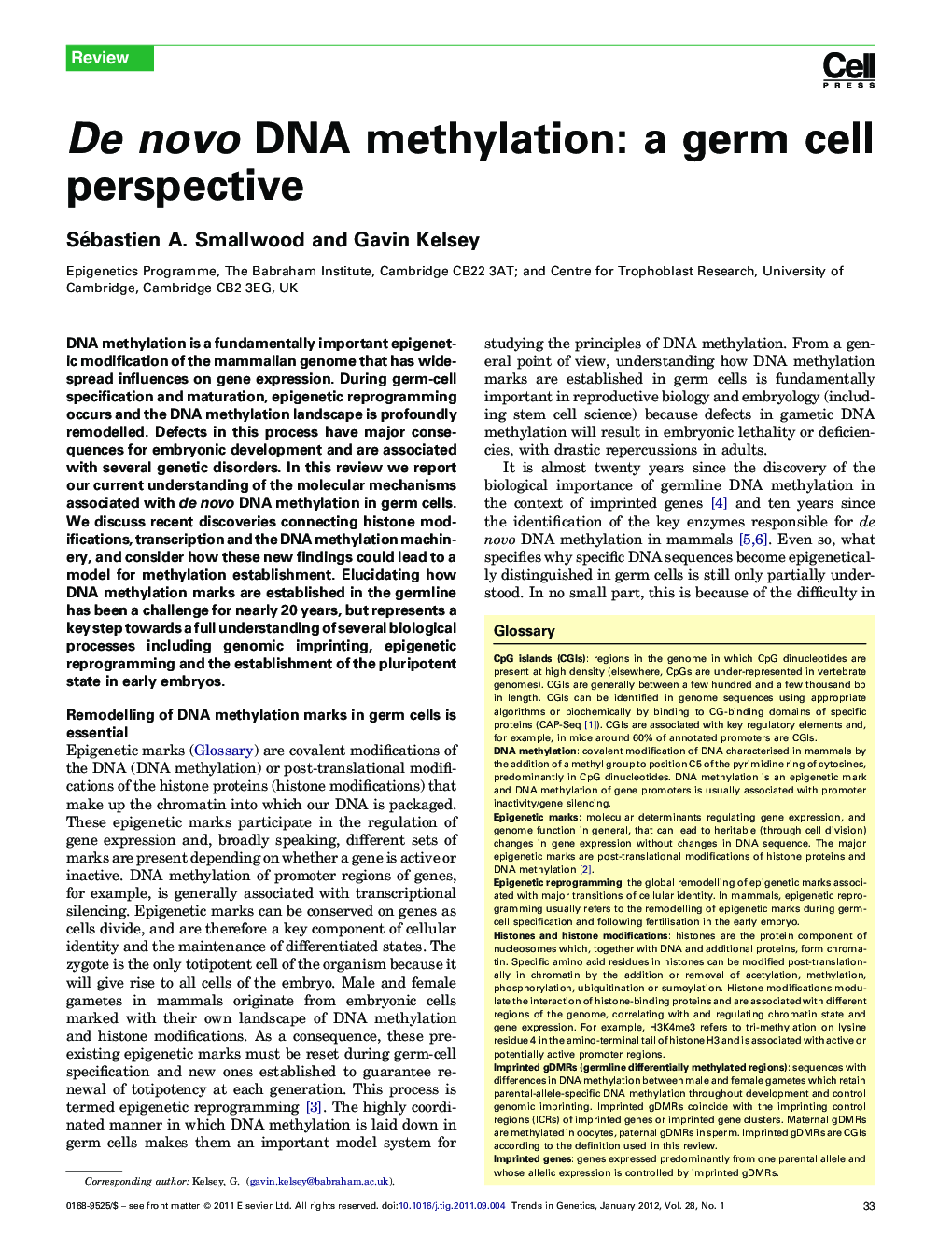 De novo DNA methylation: a germ cell perspective