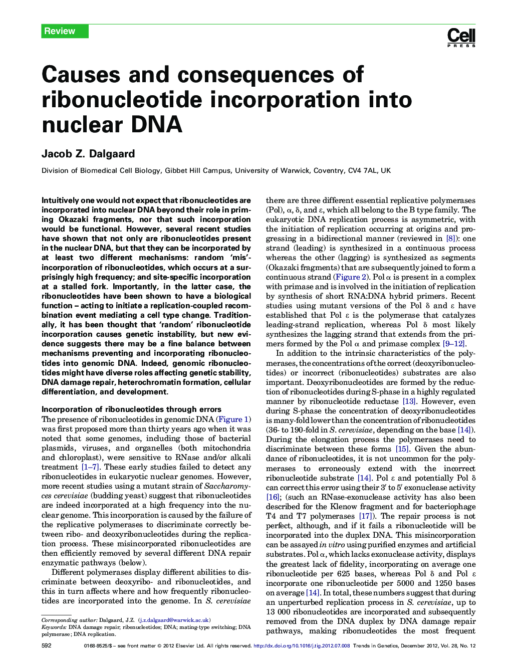 Causes and consequences of ribonucleotide incorporation into nuclear DNA