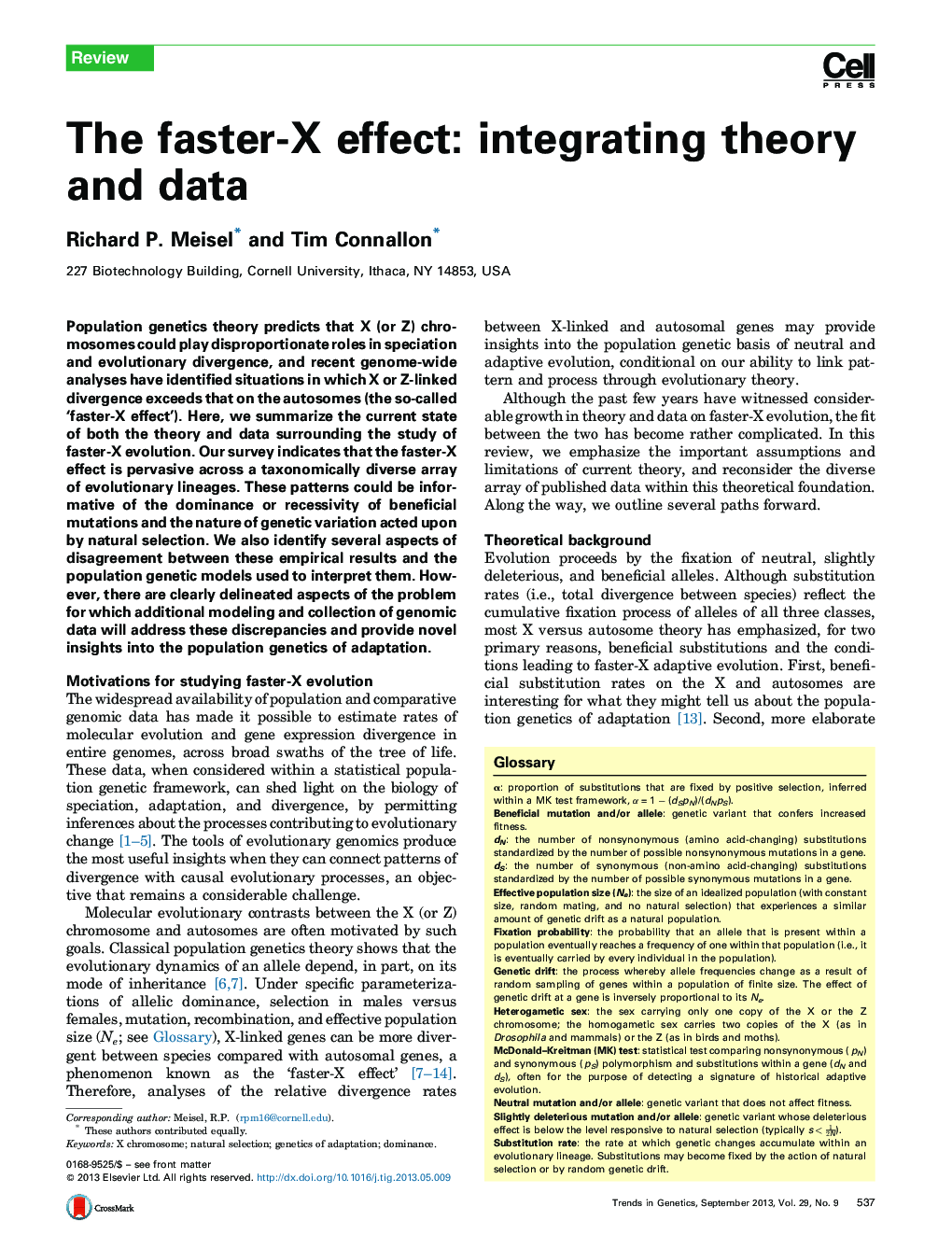 The faster-X effect: integrating theory and data