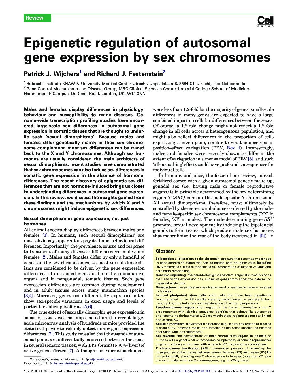 Epigenetic regulation of autosomal gene expression by sex chromosomes