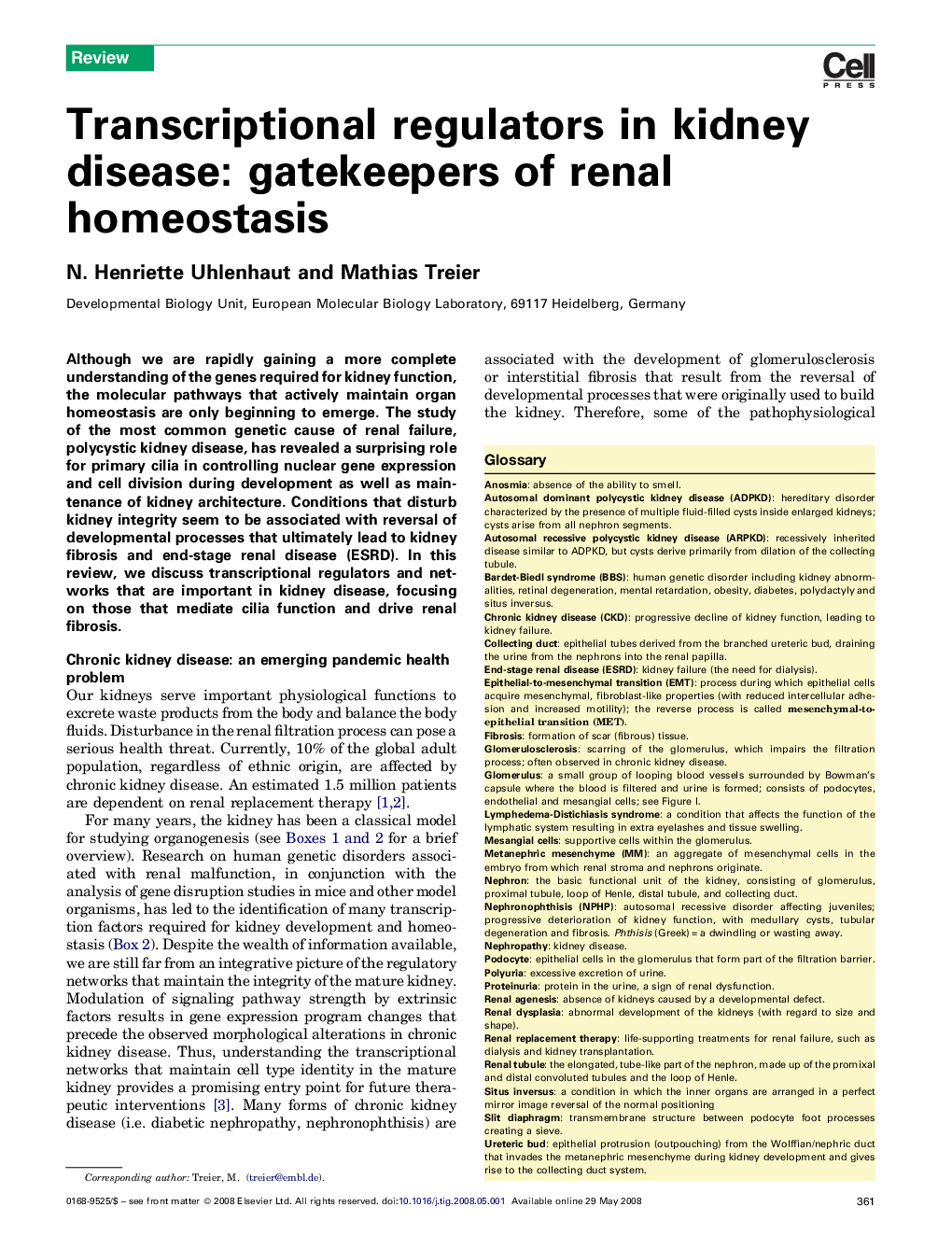 Transcriptional regulators in kidney disease: gatekeepers of renal homeostasis