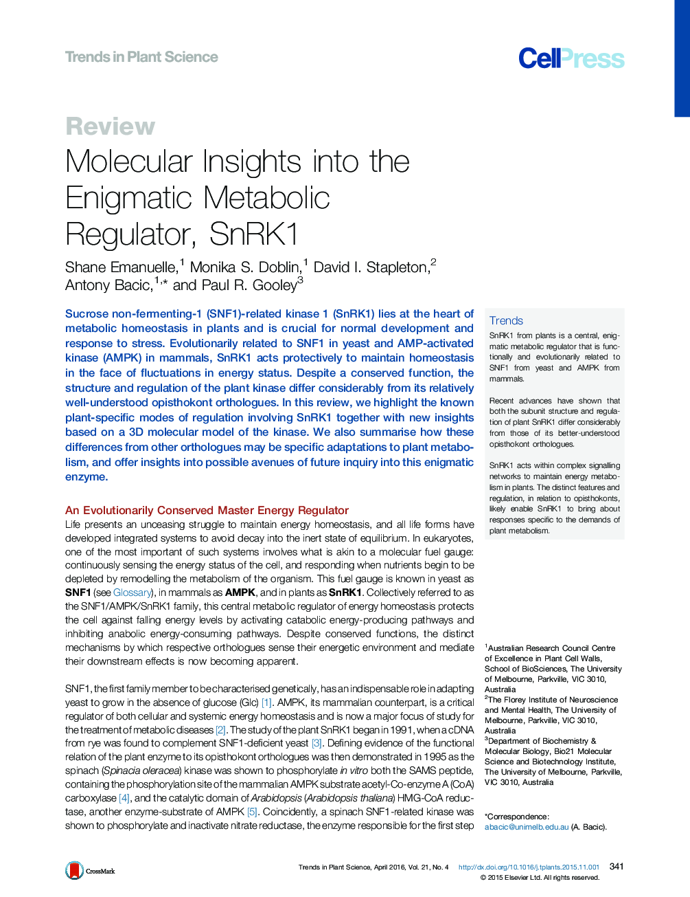 Molecular Insights into the Enigmatic Metabolic Regulator, SnRK1