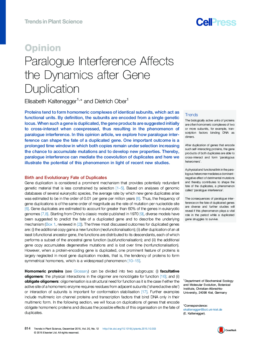 Paralogue Interference Affects the Dynamics after Gene Duplication