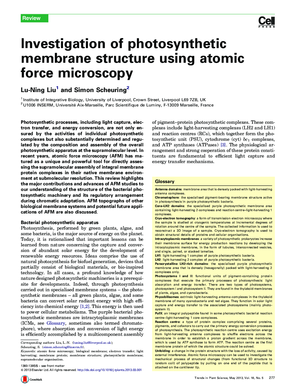 Investigation of photosynthetic membrane structure using atomic force microscopy