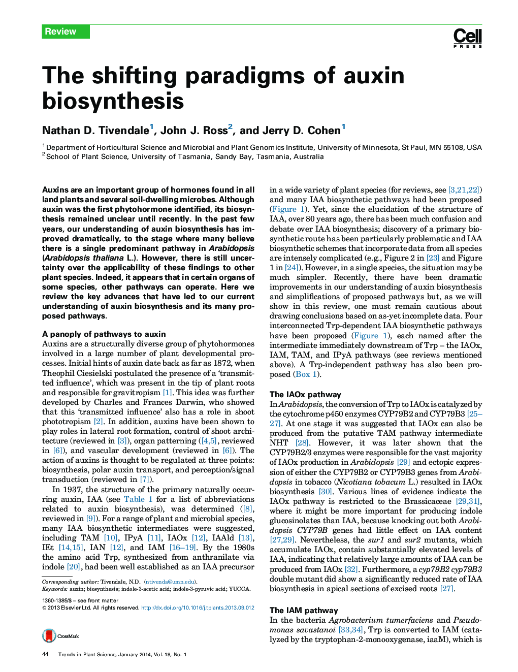 The shifting paradigms of auxin biosynthesis