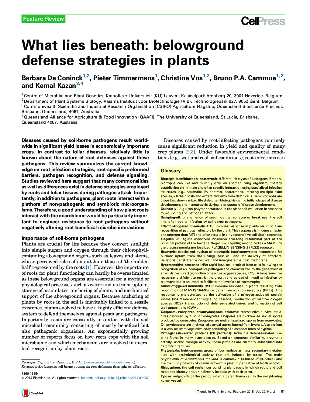 زیر چی: استراتژی دفاع زیر زمینی در گیاهان 