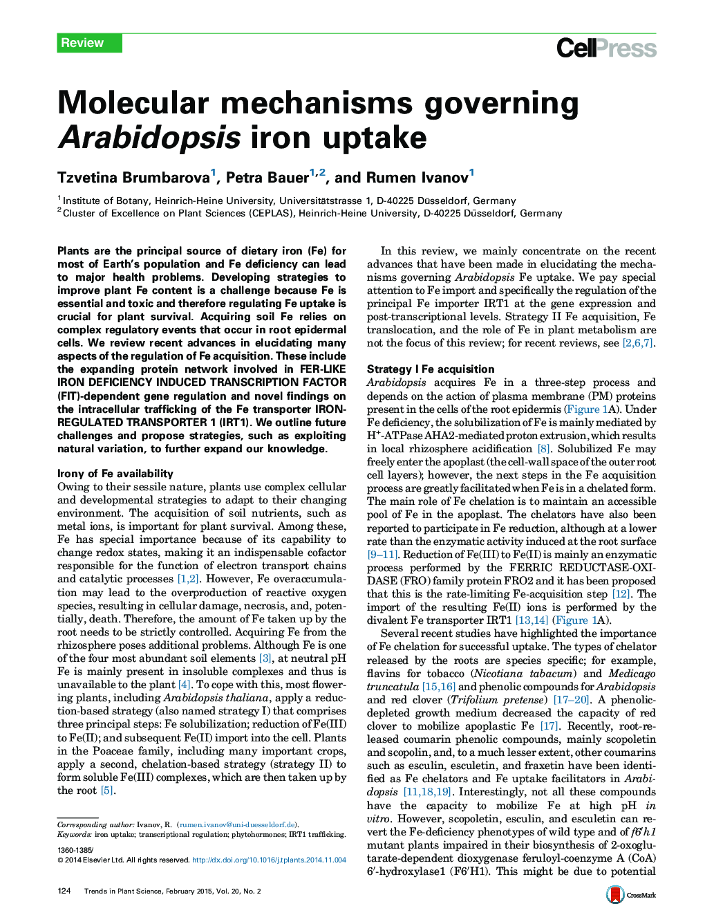 Molecular mechanisms governing Arabidopsis iron uptake