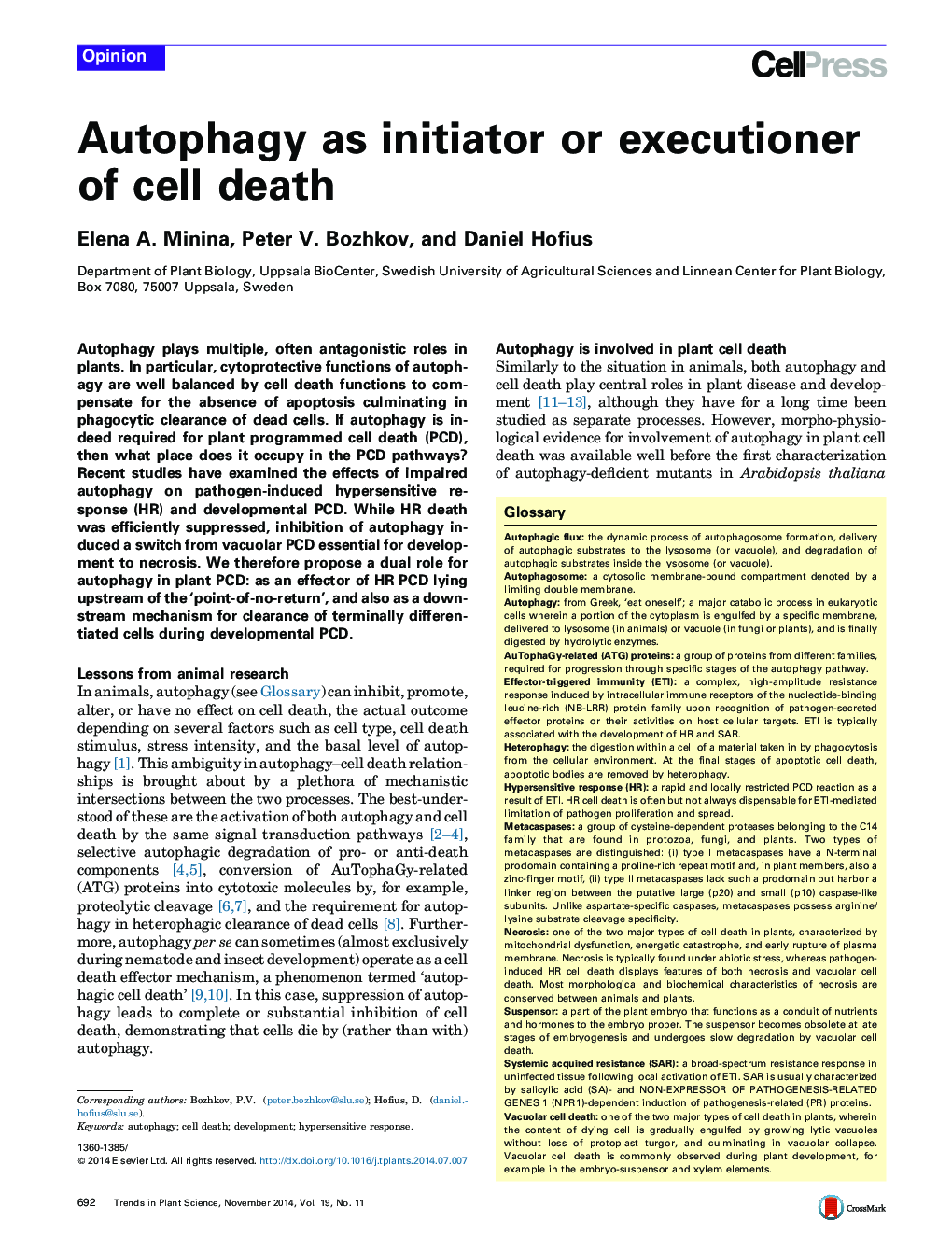 Autophagy as initiator or executioner of cell death