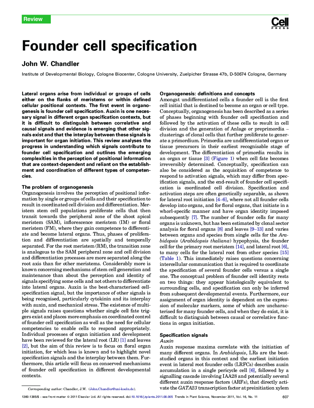 Founder cell specification