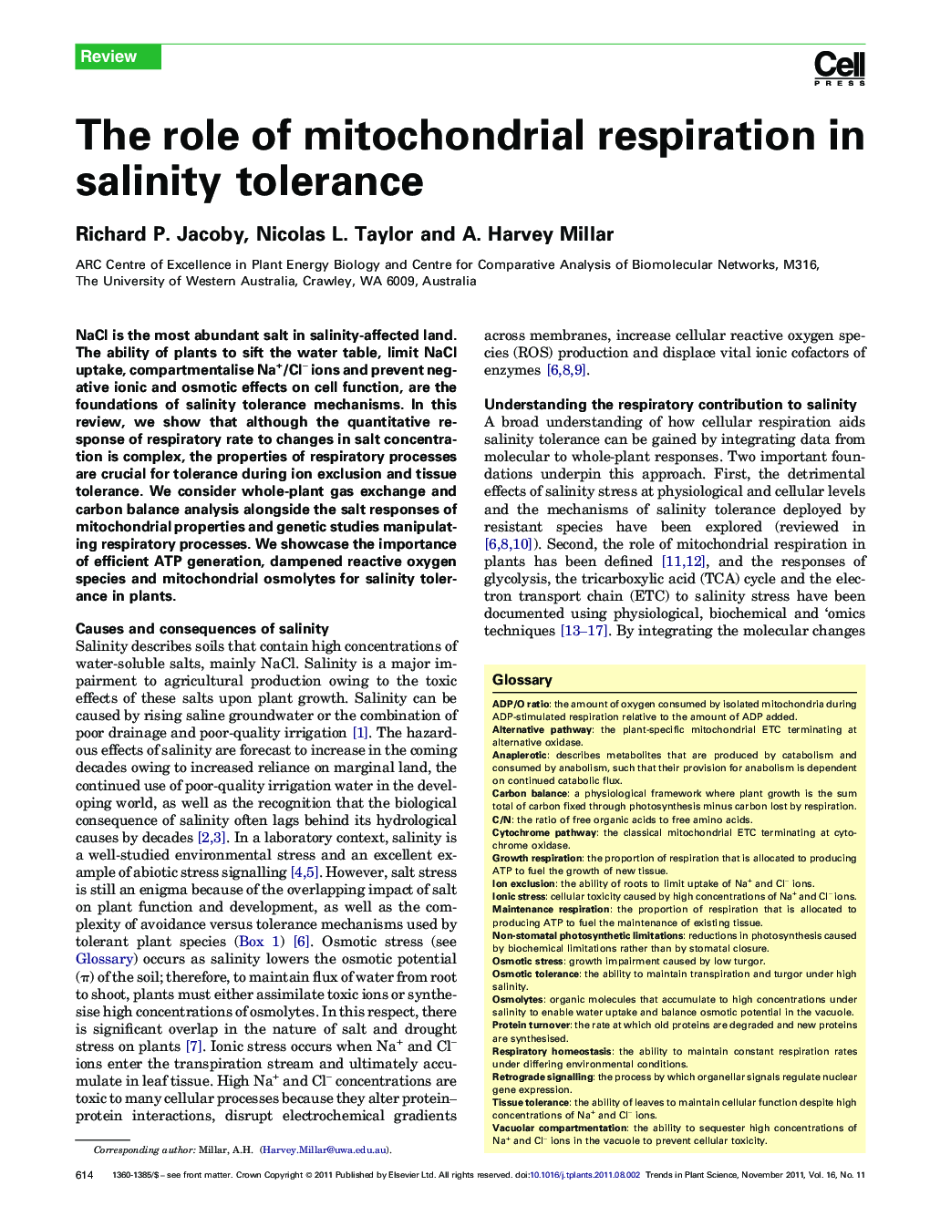 The role of mitochondrial respiration in salinity tolerance