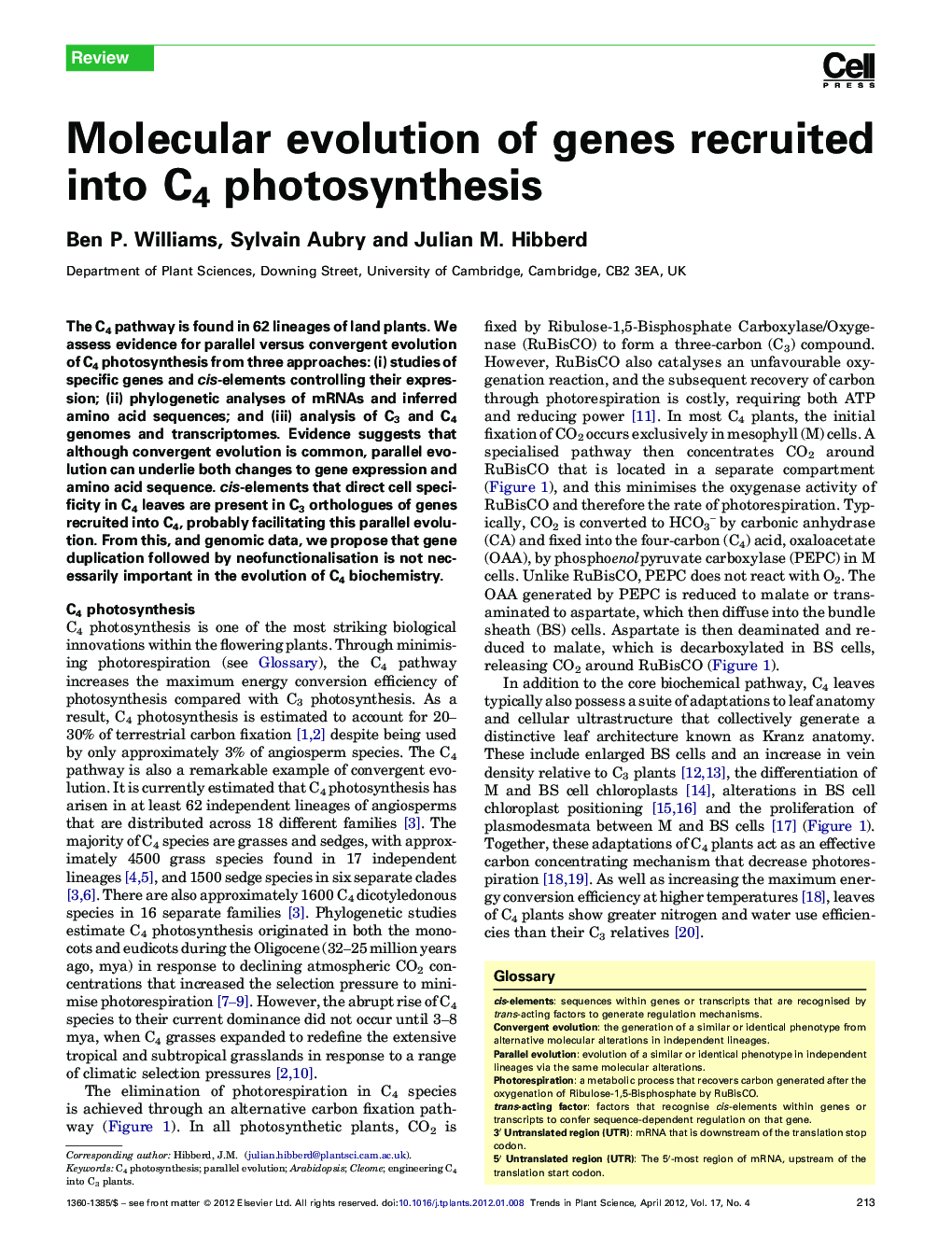 Molecular evolution of genes recruited into C4 photosynthesis