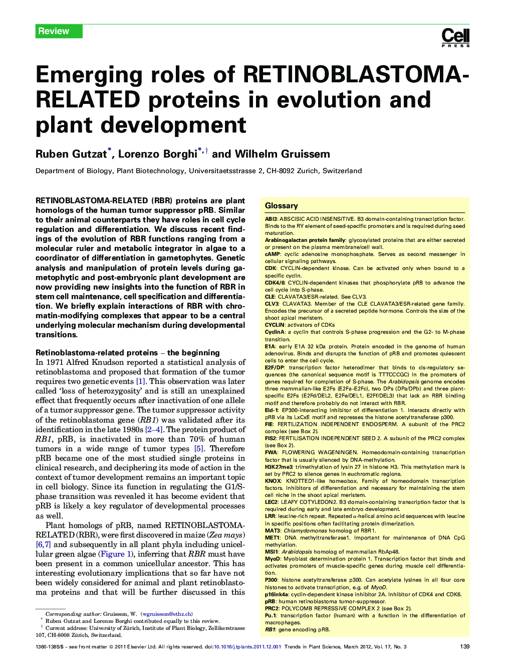 Emerging roles of RETINOBLASTOMA-RELATED proteins in evolution and plant development