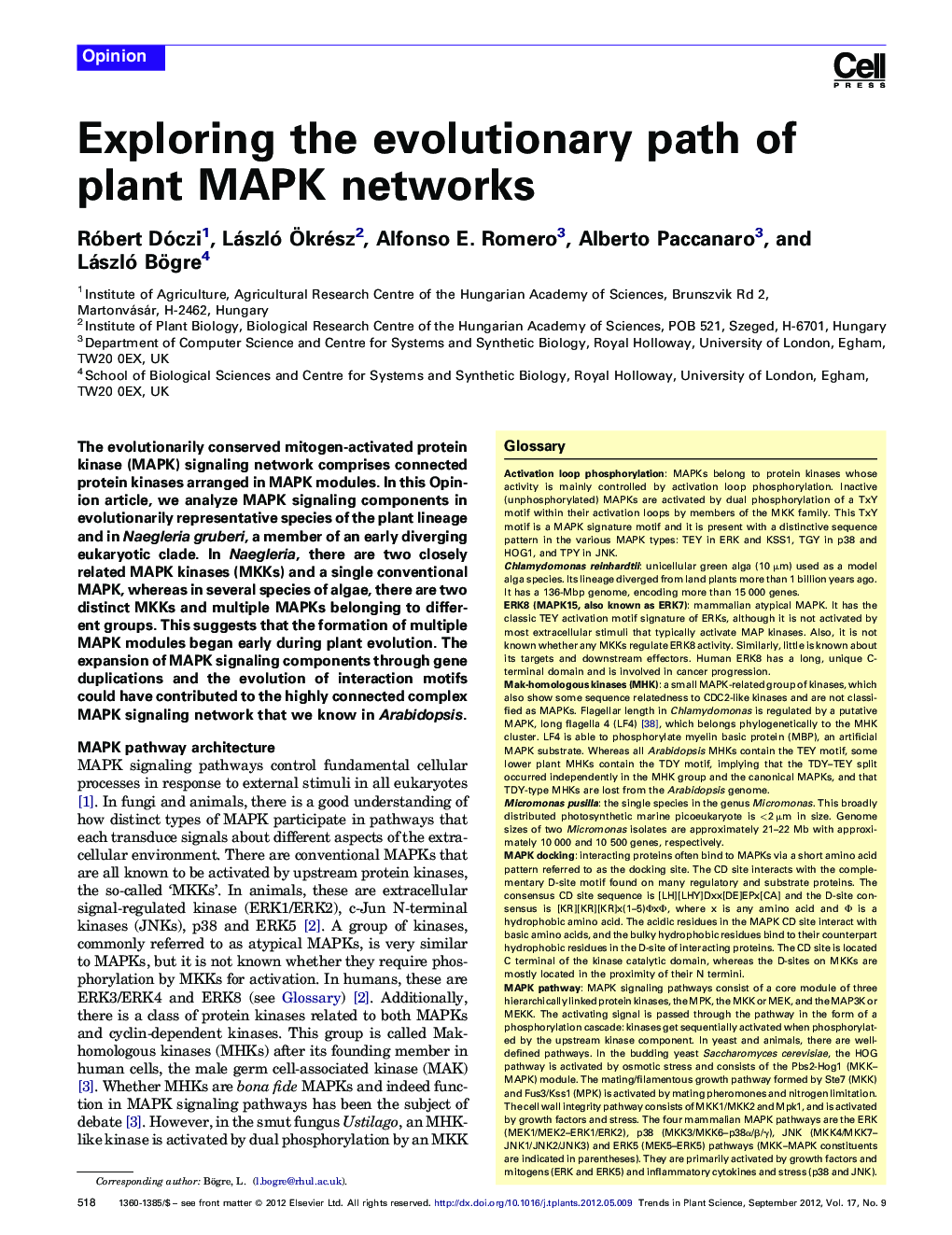 Exploring the evolutionary path of plant MAPK networks