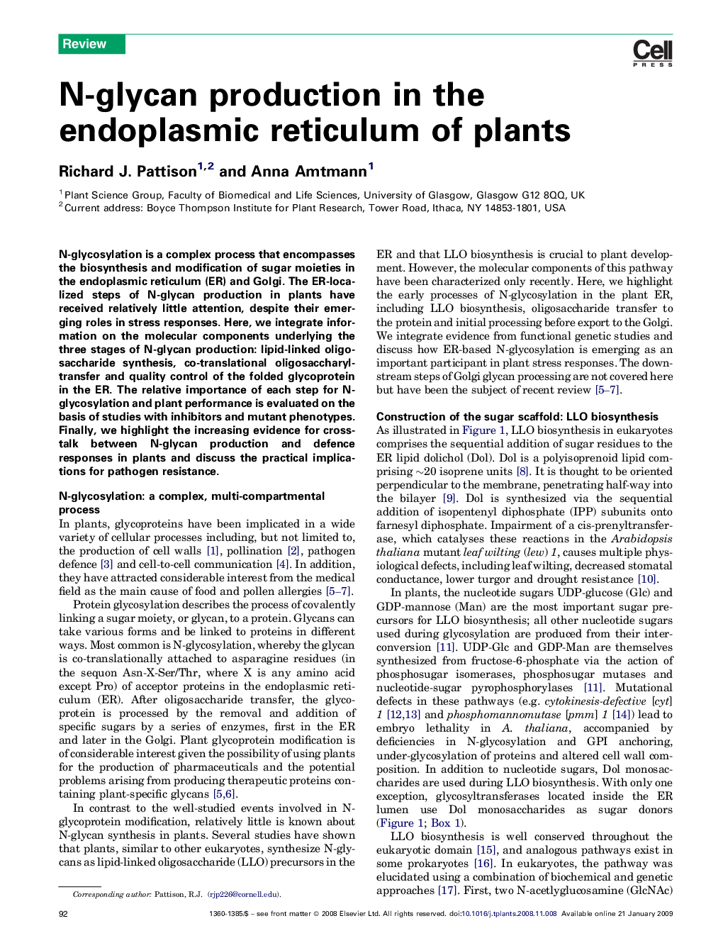 N-glycan production in the endoplasmic reticulum of plants
