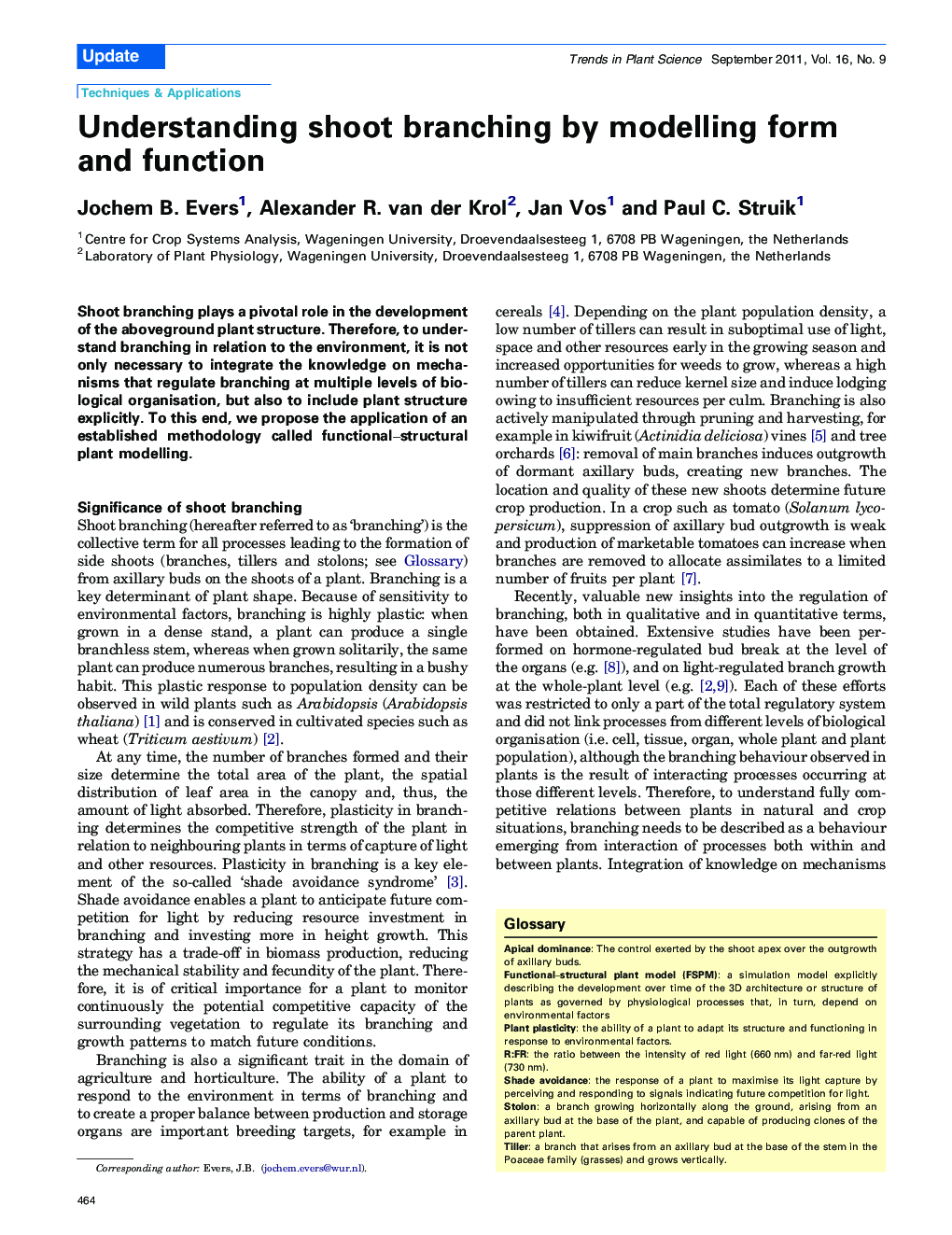 Understanding shoot branching by modelling form and function
