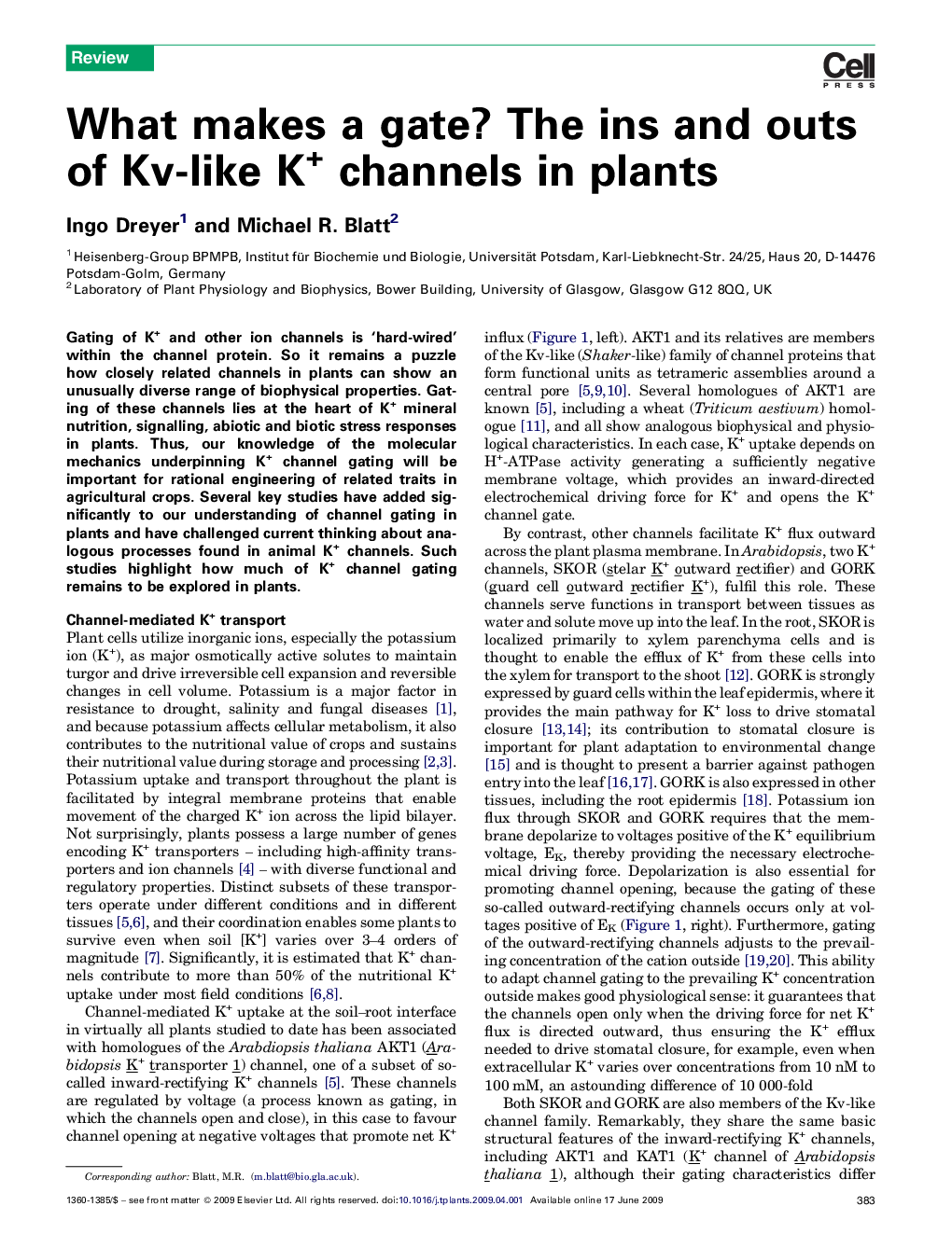 What makes a gate? The ins and outs of Kv-like K+ channels in plants