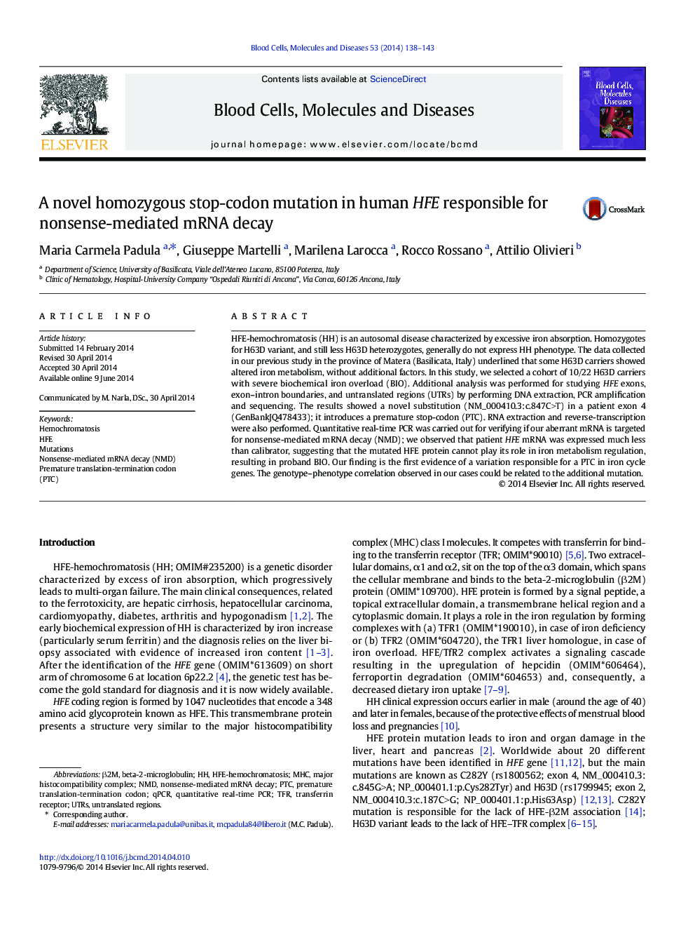 A novel homozygous stop-codon mutation in human HFE responsible for nonsense-mediated mRNA decay