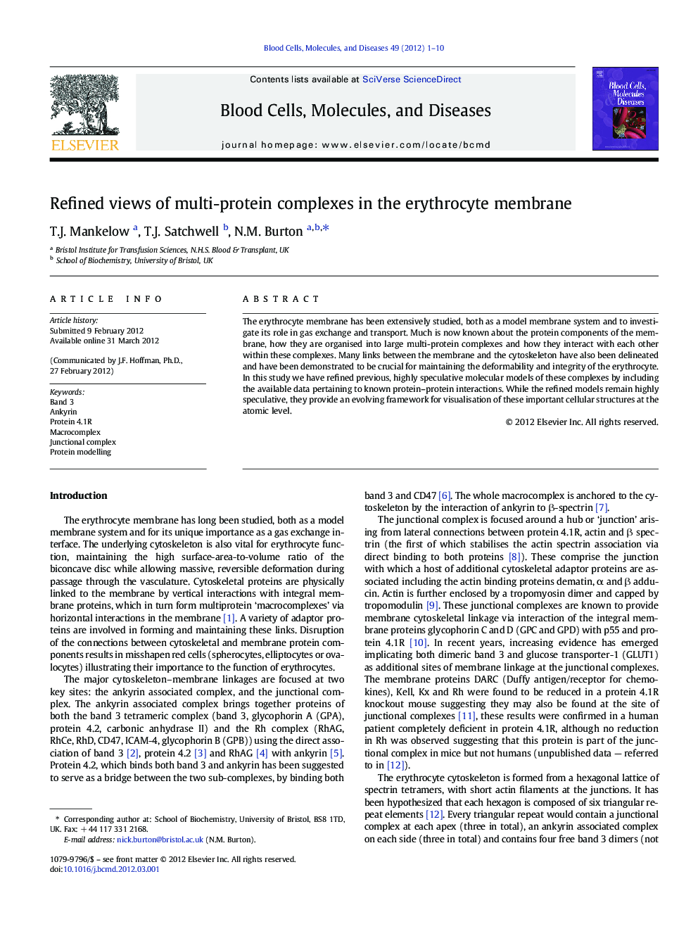 Refined views of multi-protein complexes in the erythrocyte membrane