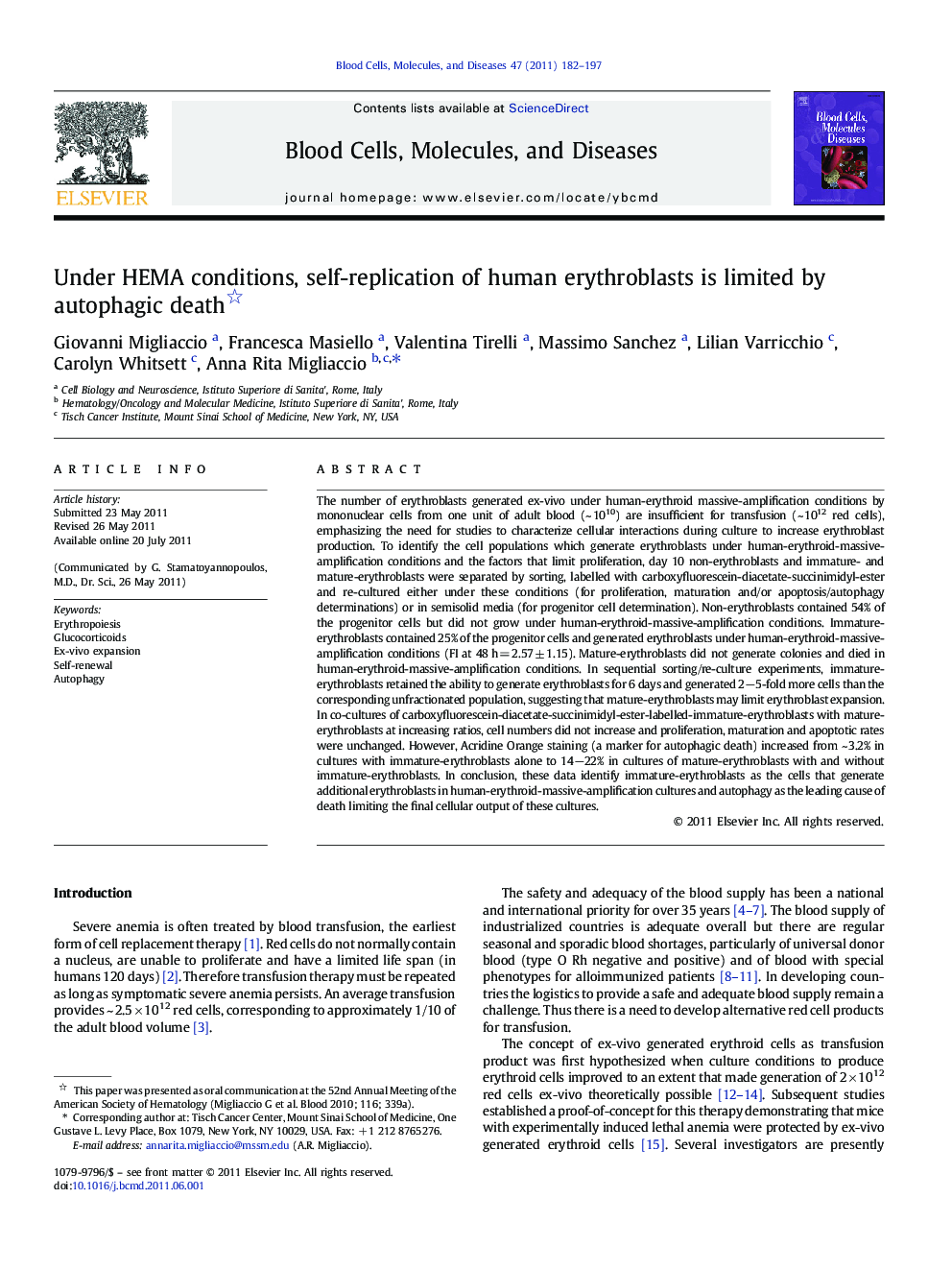 Under HEMA conditions, self-replication of human erythroblasts is limited by autophagic death 