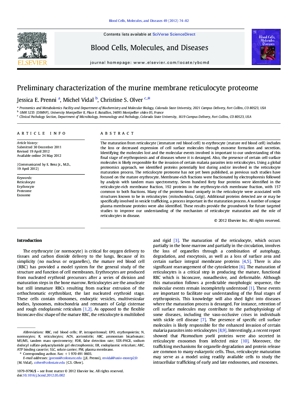 Preliminary characterization of the murine membrane reticulocyte proteome