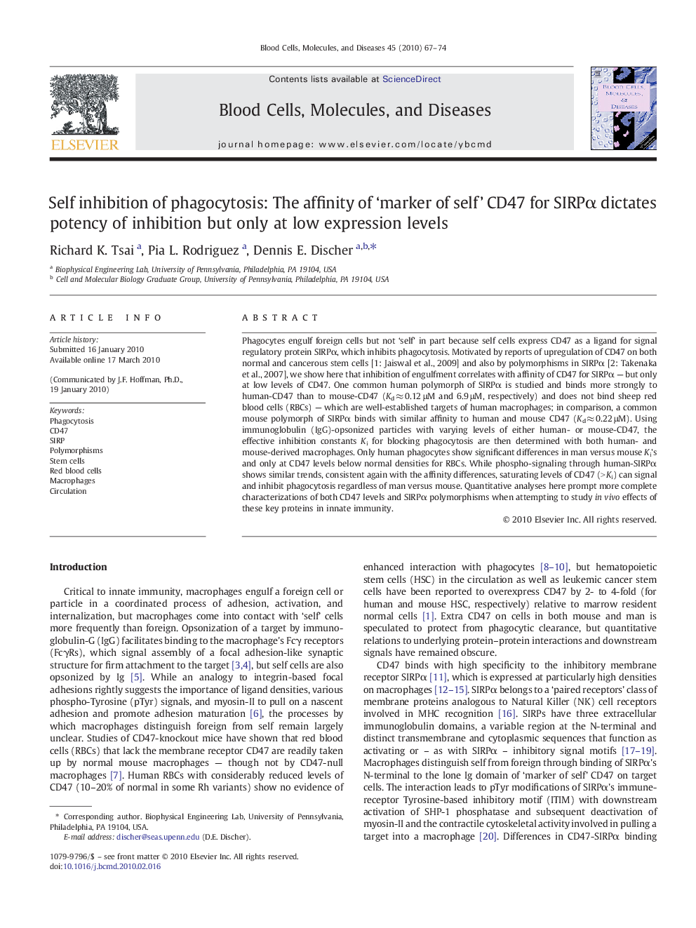 Self inhibition of phagocytosis: The affinity of ‘marker of self’ CD47 for SIRPα dictates potency of inhibition but only at low expression levels