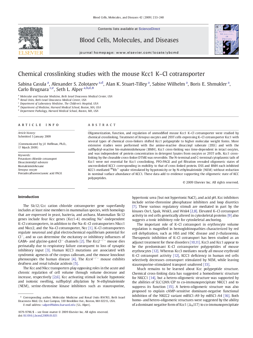 Chemical crosslinking studies with the mouse Kcc1 K–Cl cotransporter