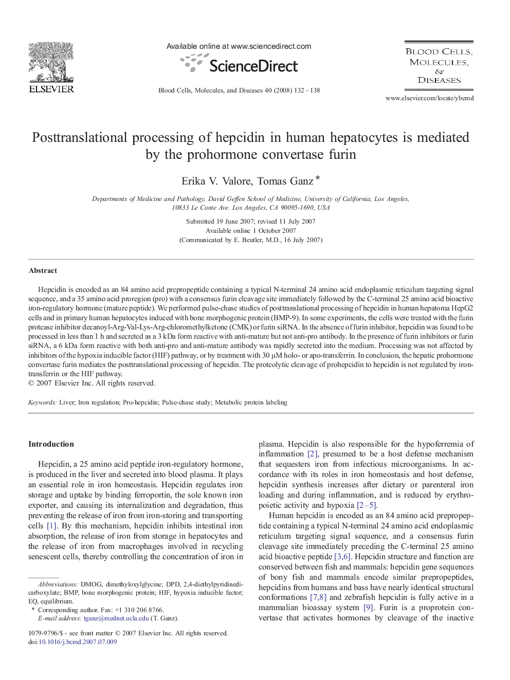 Posttranslational processing of hepcidin in human hepatocytes is mediated by the prohormone convertase furin