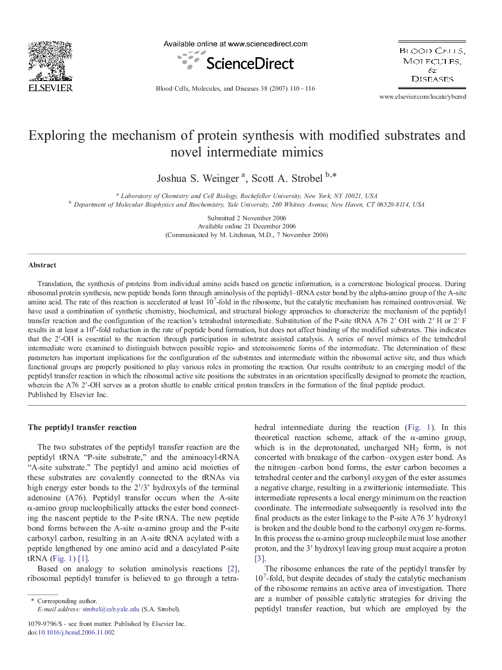 Exploring the mechanism of protein synthesis with modified substrates and novel intermediate mimics