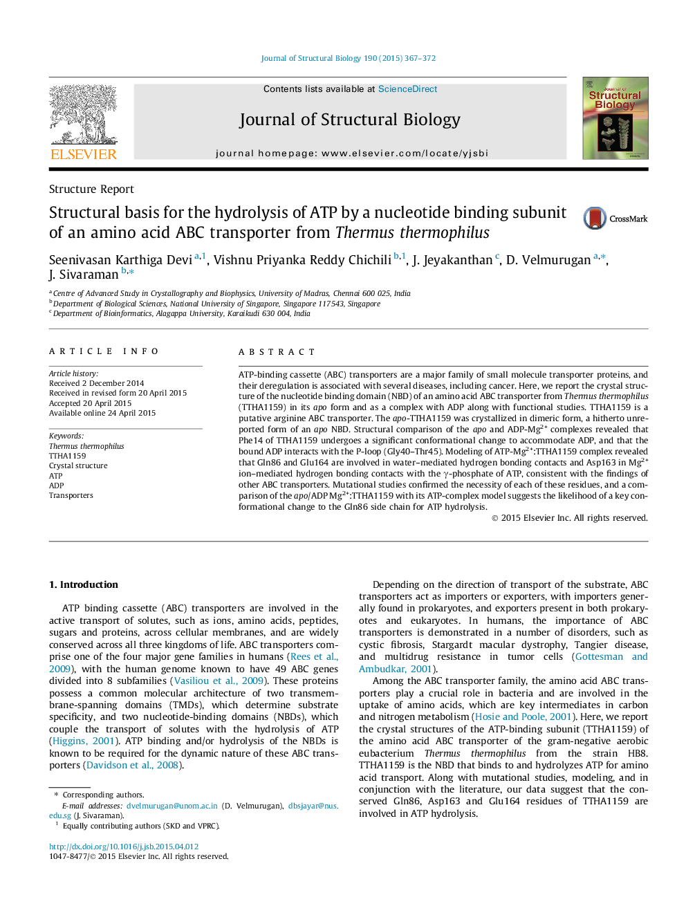 Structural basis for the hydrolysis of ATP by a nucleotide binding subunit of an amino acid ABC transporter from Thermus thermophilus