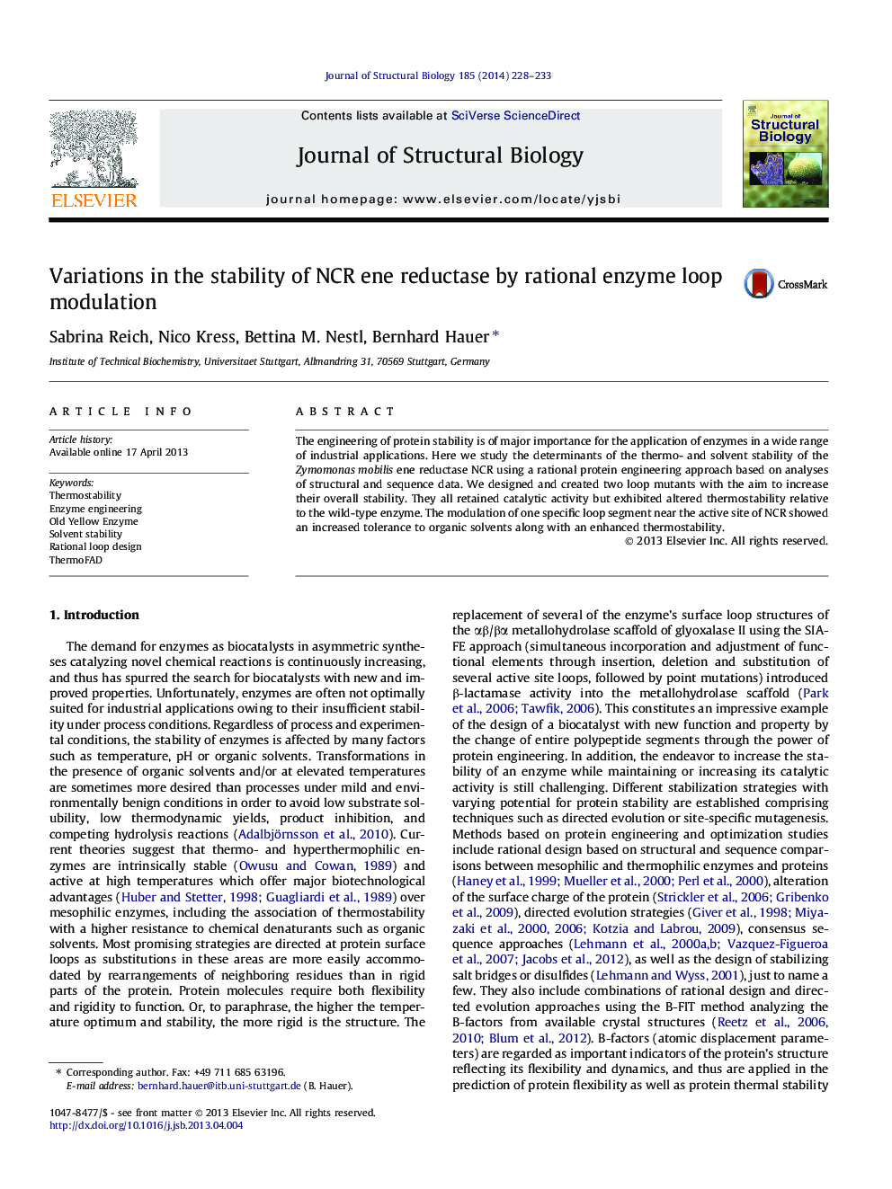 Variations in the stability of NCR ene reductase by rational enzyme loop modulation