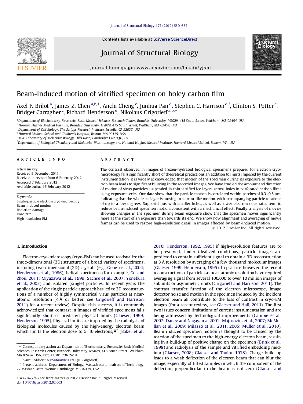 Beam-induced motion of vitrified specimen on holey carbon film