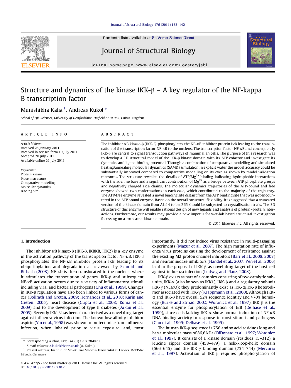 Structure and dynamics of the kinase IKK-β – A key regulator of the NF-kappa B transcription factor