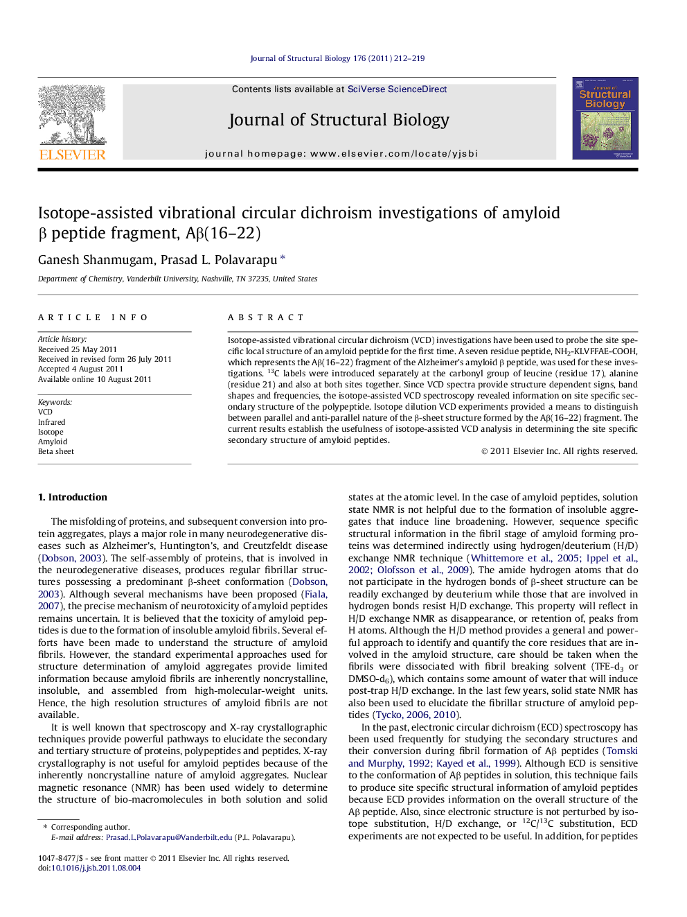 Isotope-assisted vibrational circular dichroism investigations of amyloid β peptide fragment, Aβ(16–22)